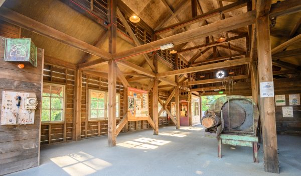 Oude houten constructie in houtzagerij